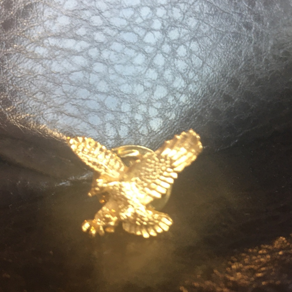 American Eagle Pin - Picture 2 of 3